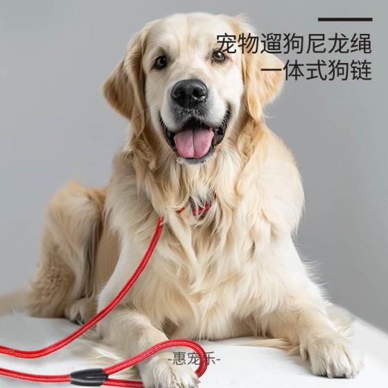尼龙狗狗卡扣防冲爆牵引绳 耐拉宠物牵引绳P链牵引带 遛狗绳 狗链