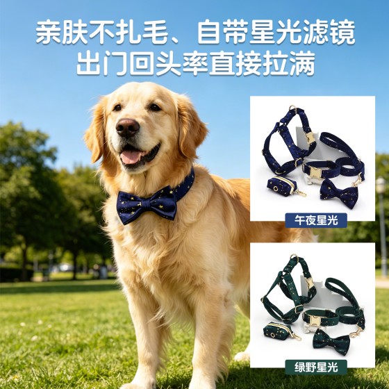 源头厂家天鹅绒星布宠物狗狗项圈牵引套装 跨境 激光刻字