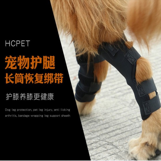 狗狗护膝宠物狗狗护腿套护膝护肘腿套防舔套护脚魔术绑带工厂