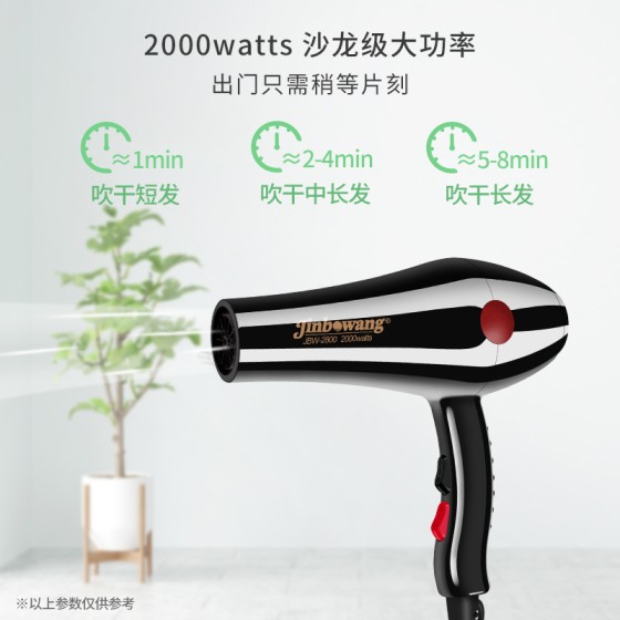 劲波王2800吹风筒机发廊专业厂家批发外贸大功率家用电吹风机跨境