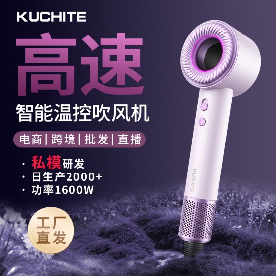 高速吹风机家用大功率速干风力负离子护发静音电吹风跨境亚马逊